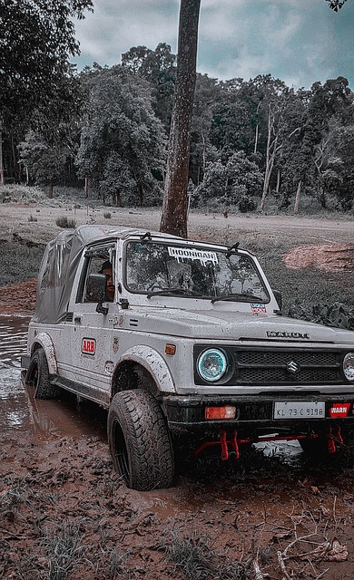 东契奇：斯玛特给替补席带来了能量，他说啥我们都会听